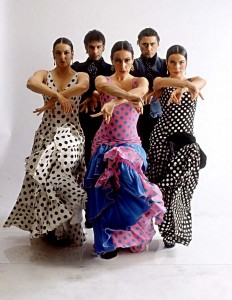 The fiery passion of traditional Spanish flamenco will be on display when the acclaimed dance company Flamenco Vivo performs on February 28.